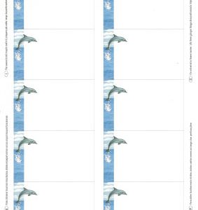 Carte Dolphin Visite