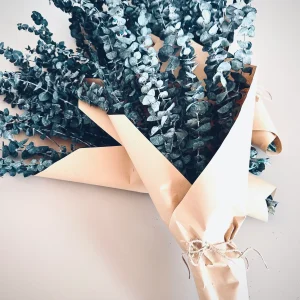 Bouquet | Eucalyptus Baby Blue (Séché-préservé)